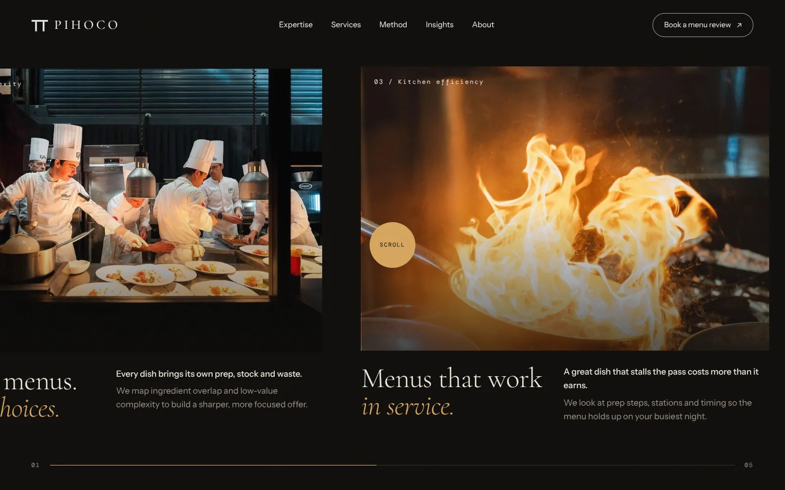 PIHOCO website screen 2
