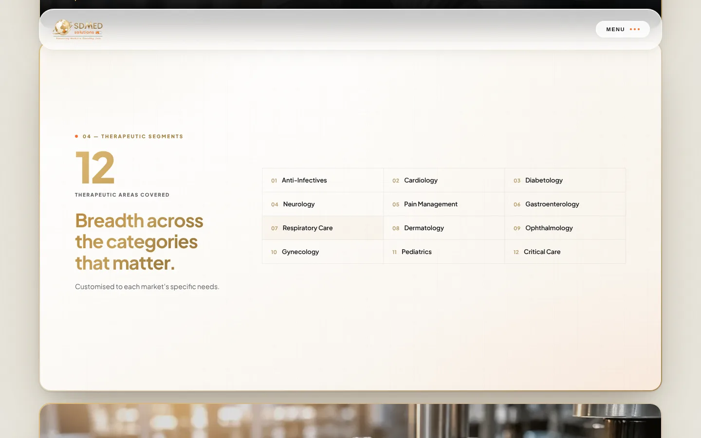 SD Med Solutions website screen 3